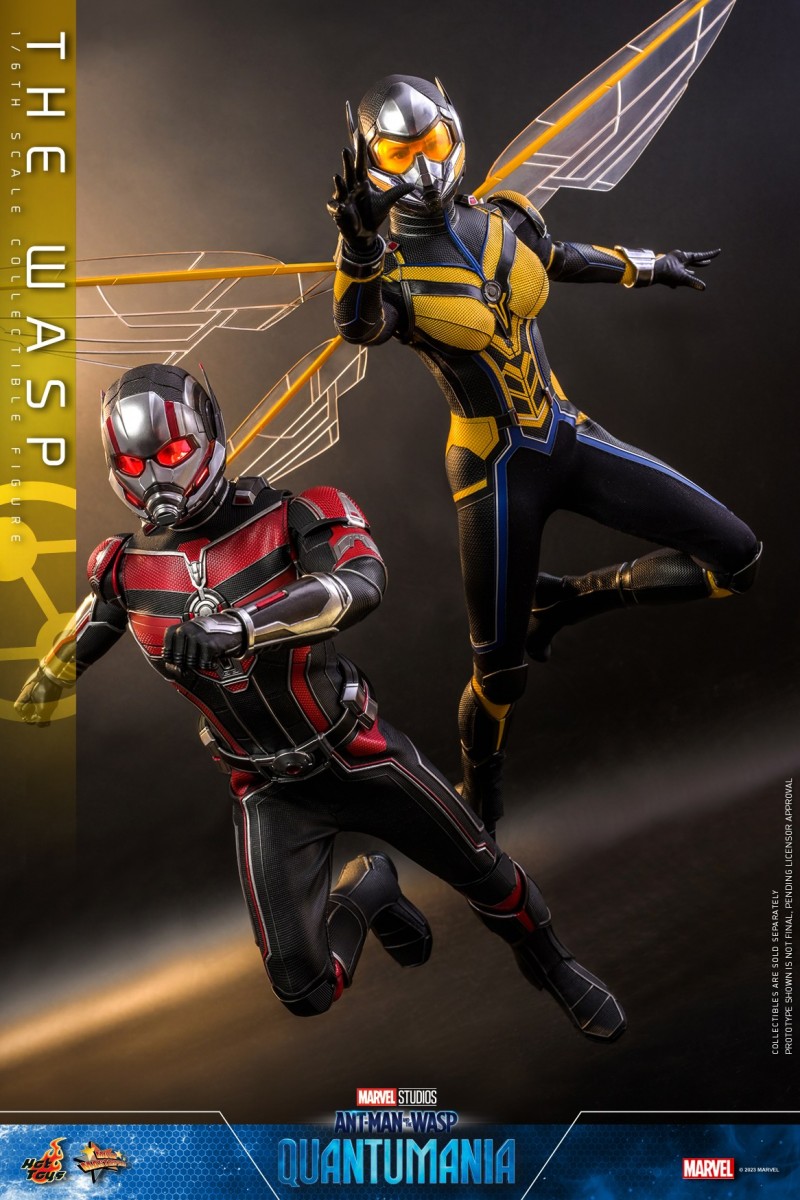 Hot Toys - Ant-Man 3 - The Wasp collectible figure_PR6.jpg Hot Toys - Ant-Man 3 - The Wasp collectible figure_PR6.jpg
