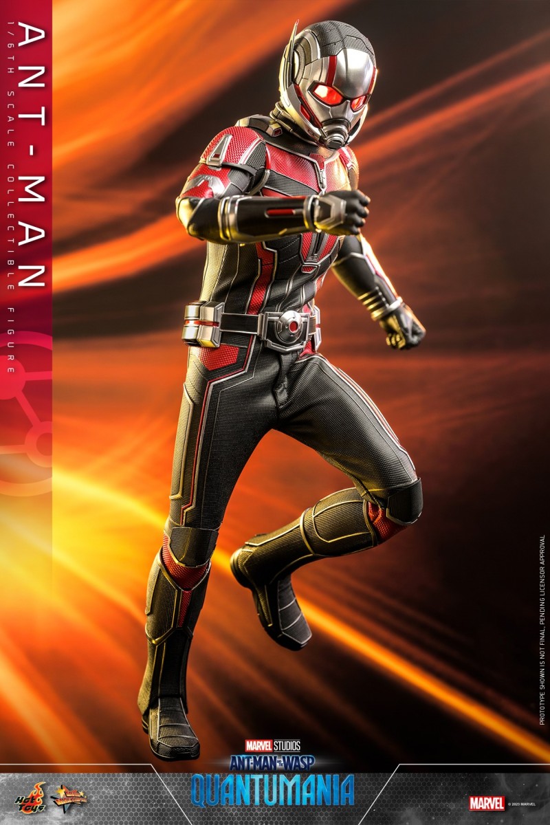 Hot Toys - Ant-Man 3 - Ant-Man collectible figure_PR7.jpg