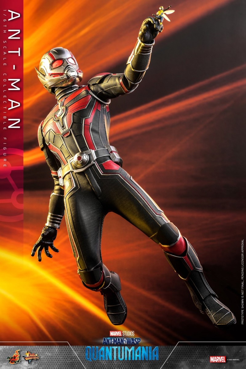Hot Toys - Ant-Man 3 - Ant-Man collectible figure_PR6.jpg