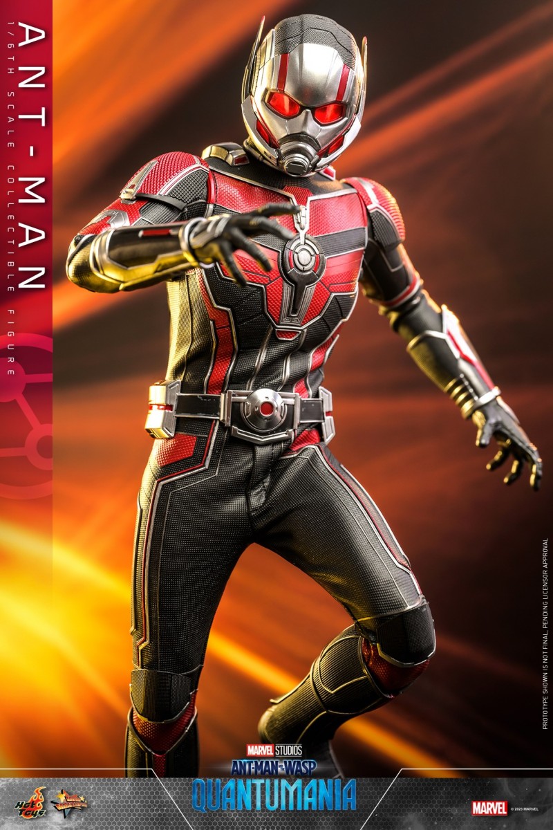 Hot Toys - Ant-Man 3 - Ant-Man collectible figure_PR8.jpg
