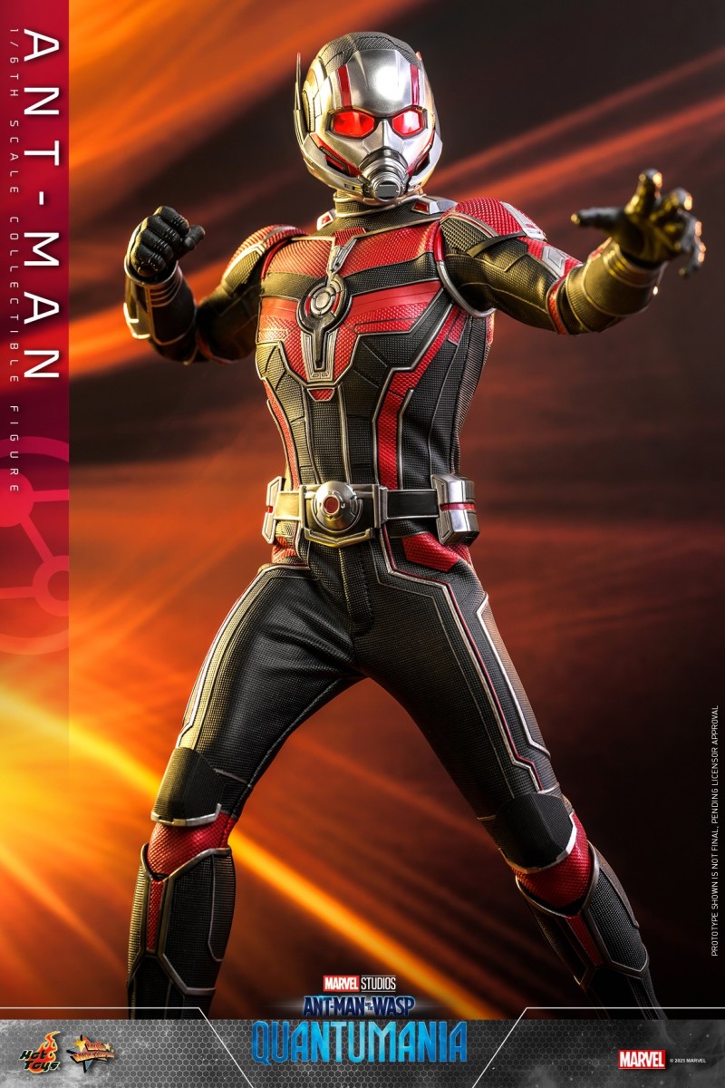 Hot Toys - Ant-Man 3 - Ant-Man collectible figure_PR9.jpg