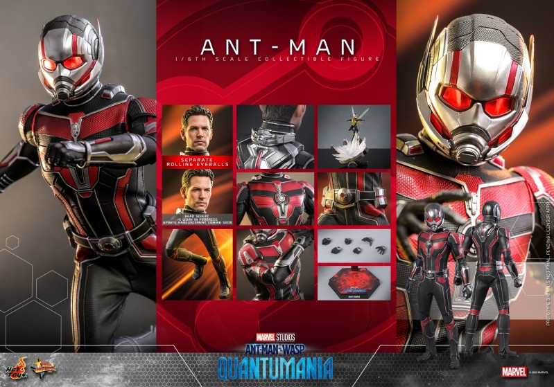Hot Toys - Ant-Man 3 - Ant-Man collectible figure_PR17.jpg