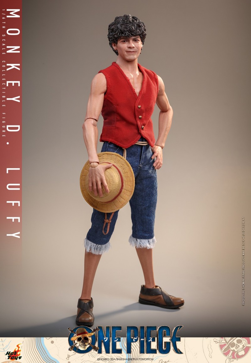 Hot-Toys-One-Piece-1-6-Luffy_PR5.jpg