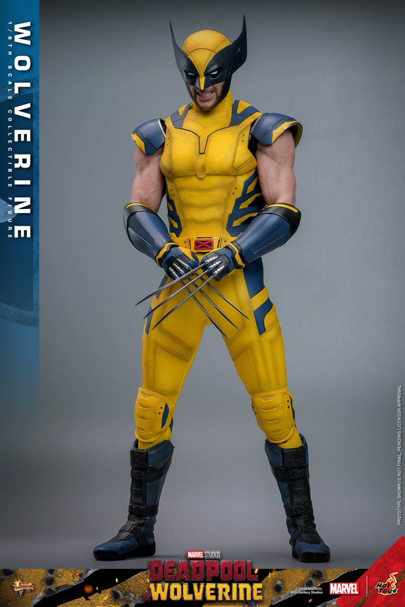 Hot Toys - Deadpool &amp; Wolverine - Wolverine Figure_PR11.jpg