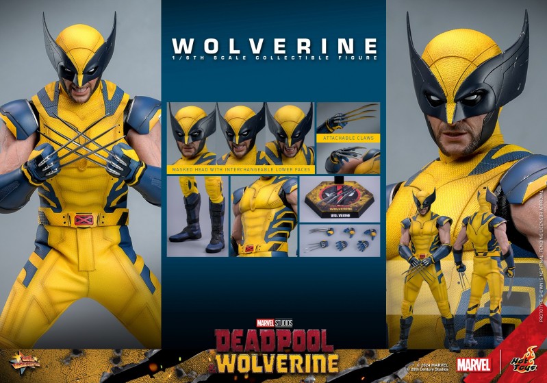 Hot Toys - Deadpool &amp; Wolverine - Wolverine Figure_PR15.jpg
