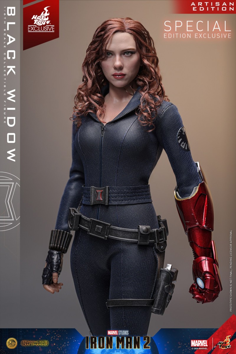 Hot Toys - IM2 - Black Widow Figure (Artisan Edition)_PR20 (Special).jpg