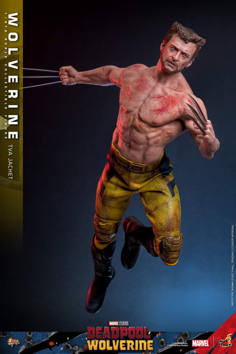 Hot Toys - DP3 - Wolverine Figure_PR7.jpg