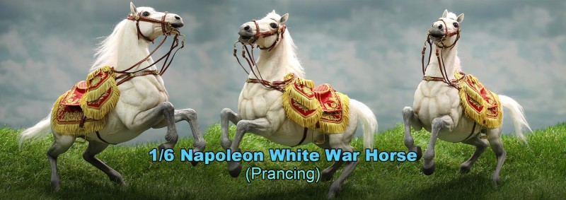 hero1.jpg