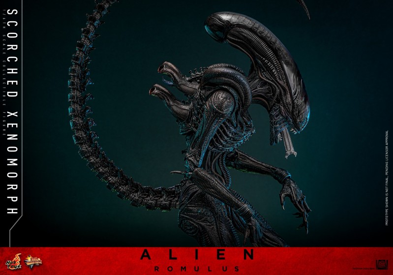 Hot Toys - Alien Romulus - Scorched Xenomorph_PR9.jpg