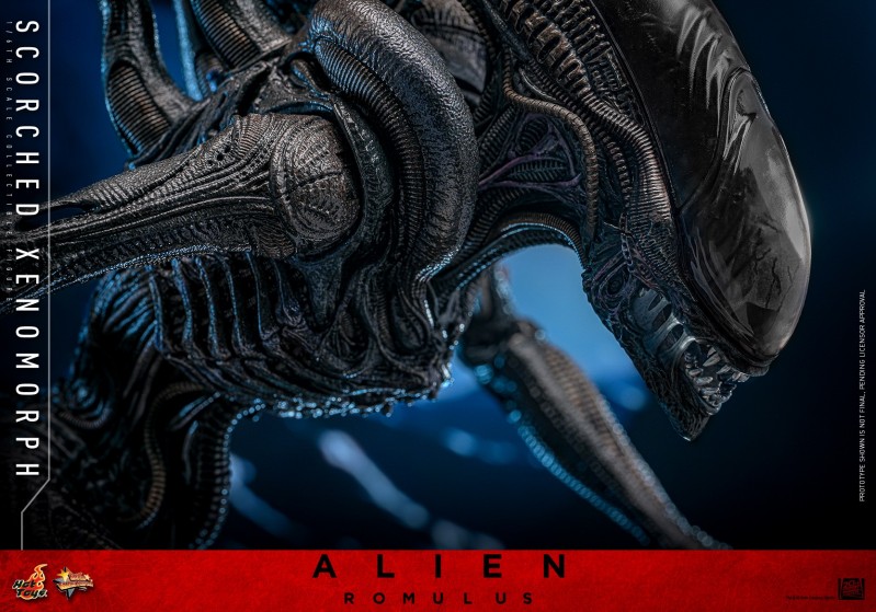 Hot Toys - Alien Romulus - Scorched Xenomorph_PR13.jpg