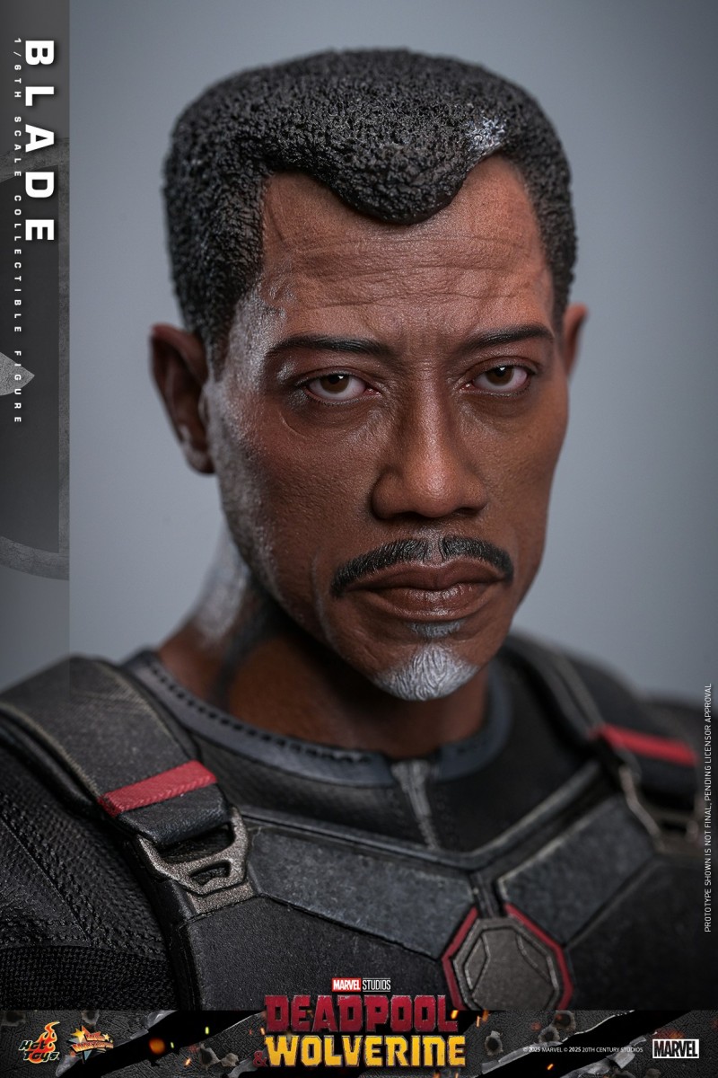Hot Toys - DP3 - Blade_PR14.jpg