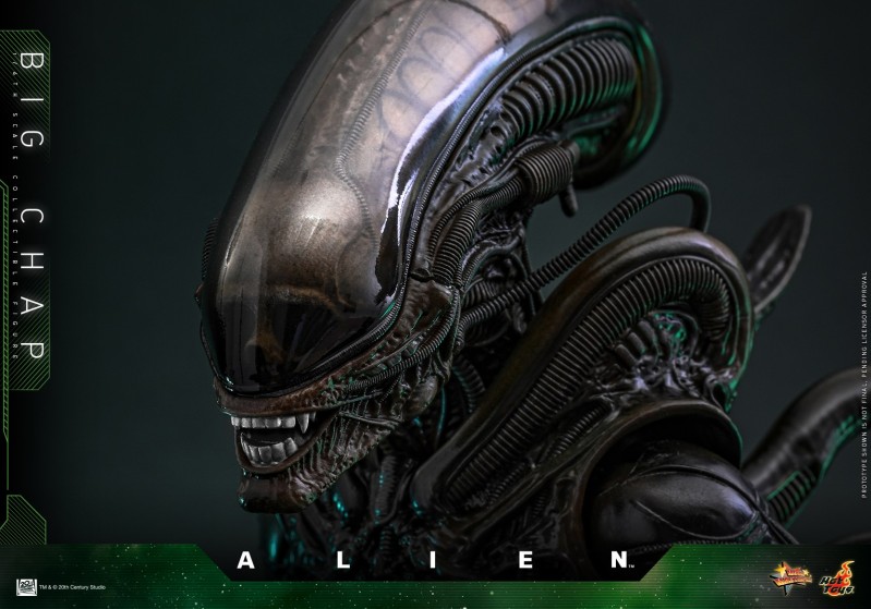Hot Toys - Alien - Big Chap_PR9.jpg Hot Toys - Alien - Big Chap_PR9.jpg
