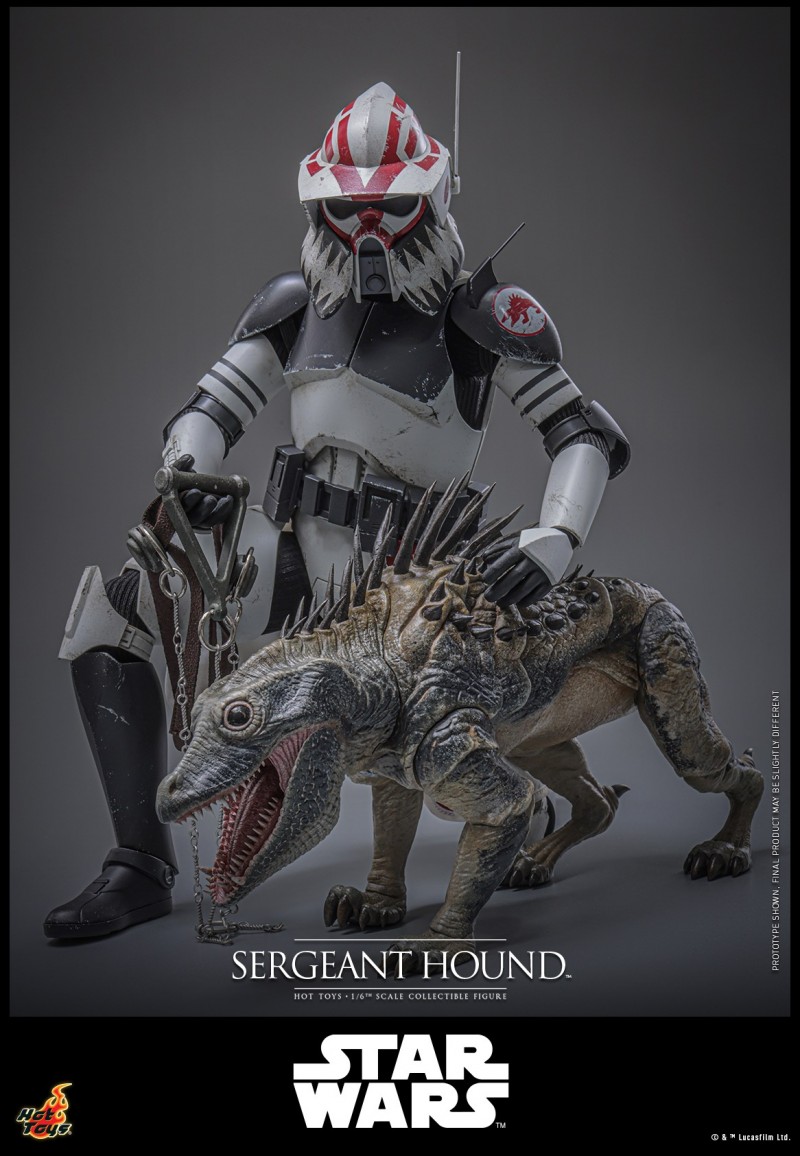Hot Toys - SW Clone Wars - Sergeant Hound_PR15.jpg
