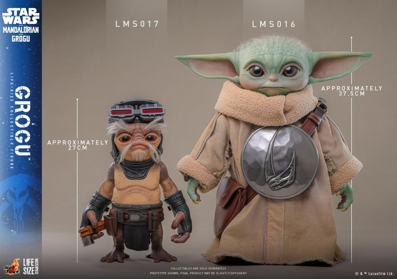 Hot Toys - SW Mandalorian and Grogu - Grogu_PR19.jpg