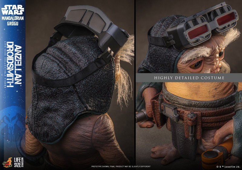 Hot Toys - SWMG - Anzellan Droidsmith_PR14.jpg