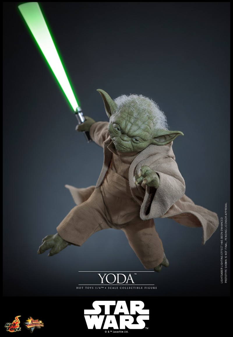 Hot Toys - Star Wars EP3 - Yoda_PR17.jpg