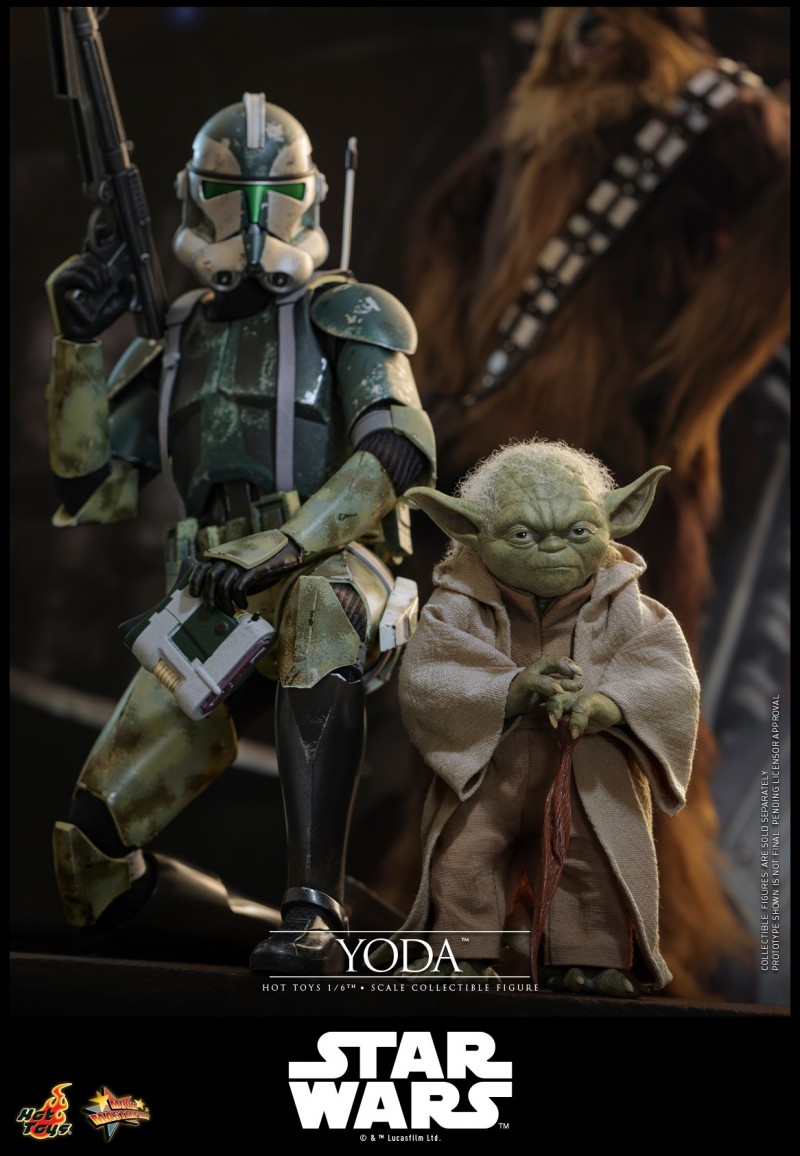 Hot Toys - Star Wars EP3 - Yoda_PR18.jpg