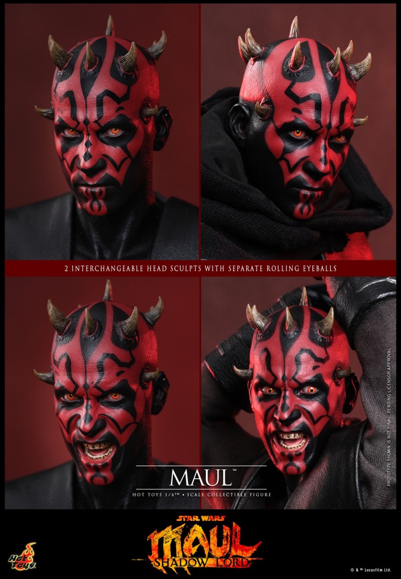 Hot Toys - Star Wars Maul Shadow Lord �C Maul_PR18.jpg
