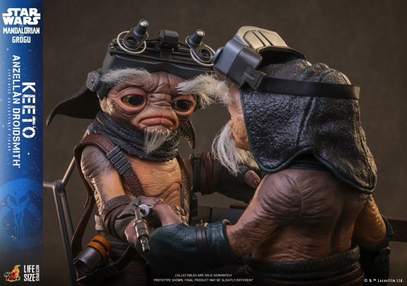 Hot Toys - SWMG -  Keeto (Anzellan Droidsmith)_PR1.jpg