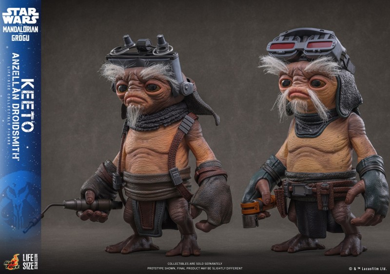 Hot Toys - SWMG -  Keeto (Anzellan Droidsmith)_PR3.jpg
