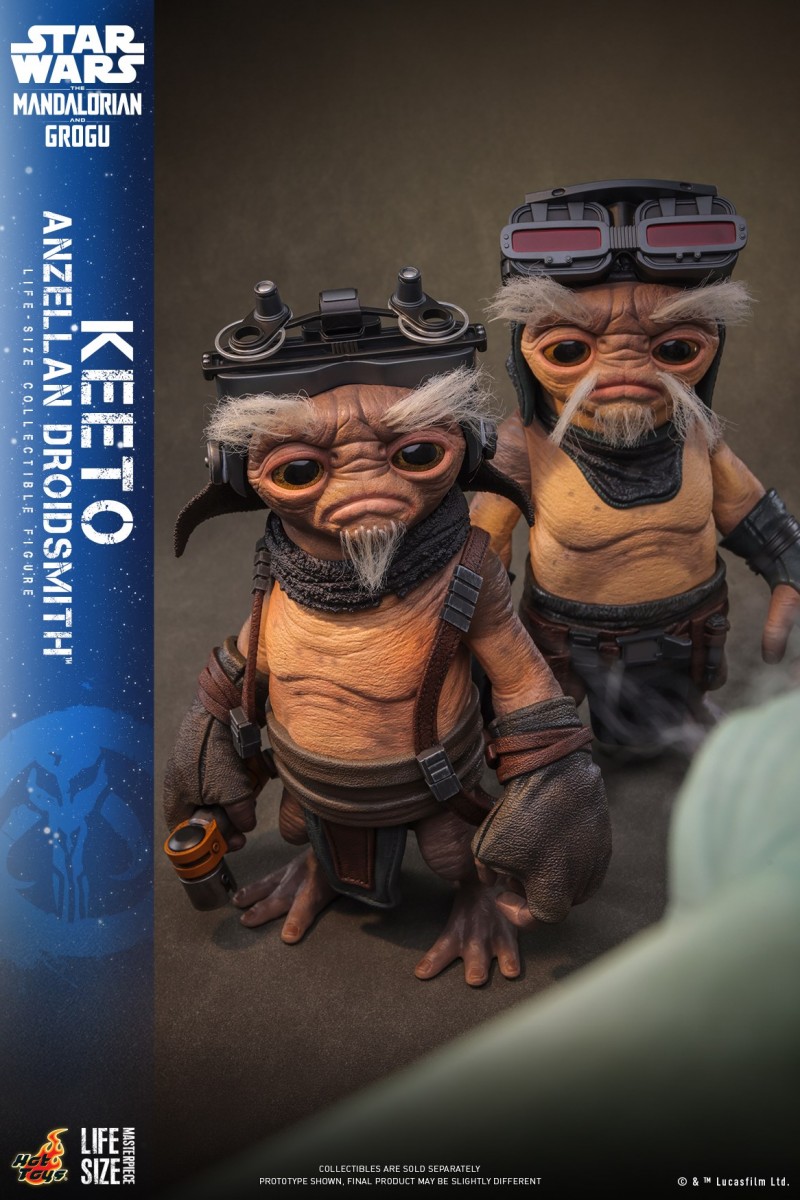 Hot Toys - SWMG -  Keeto (Anzellan Droidsmith)_PR8.jpg