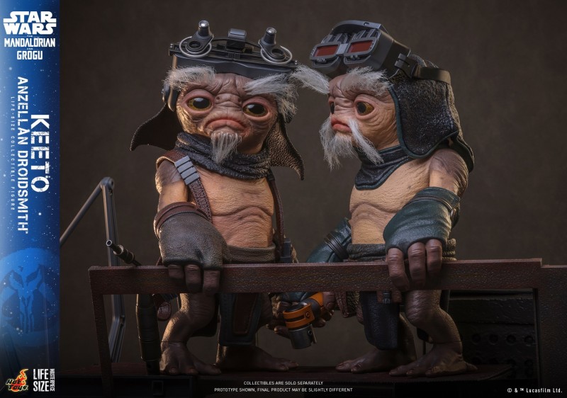 Hot Toys - SWMG -  Keeto (Anzellan Droidsmith)_PR10.jpg