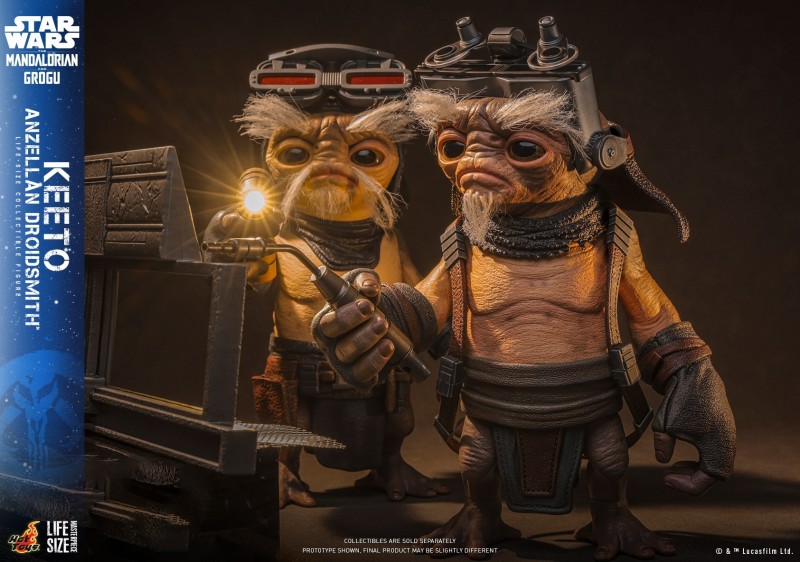 Hot Toys - SWMG -  Keeto (Anzellan Droidsmith)_PR11.jpg