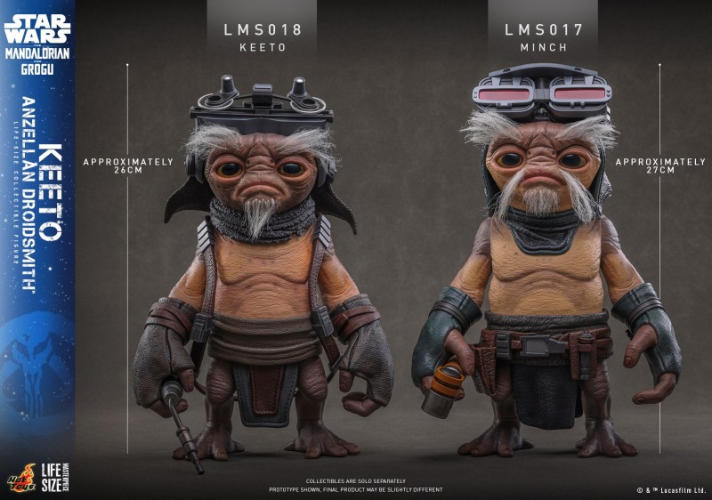 Hot Toys - SWMG -  Keeto (Anzellan Droidsmith)_PR12.jpg
