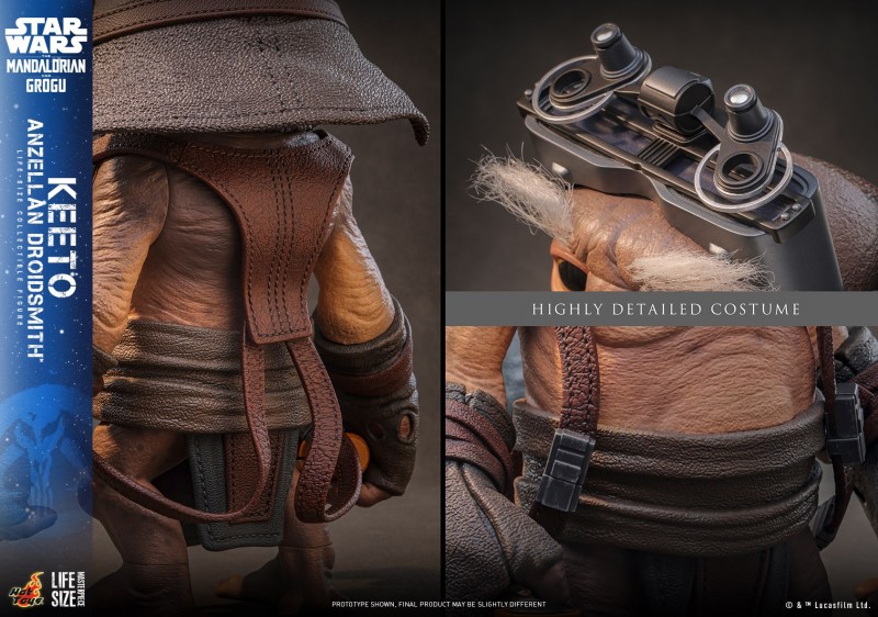 Hot Toys - SWMG -  Keeto (Anzellan Droidsmith)_PR13.jpg