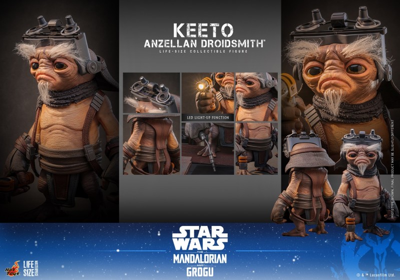 Hot Toys - SWMG -  Keeto (Anzellan Droidsmith)_PR15.jpg