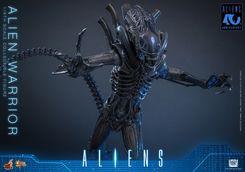 Hot Toys - Aliens - Alien Warrior_PR2.jpg