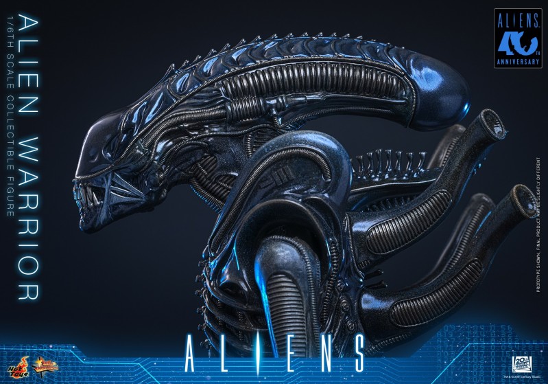 Hot Toys - Aliens - Alien Warrior_PR4.jpg