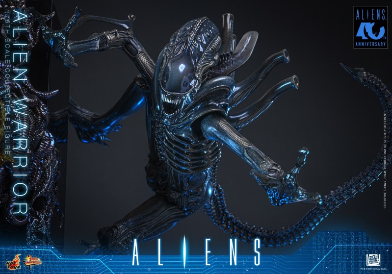 Hot Toys - Aliens - Alien Warrior_PR3.jpg
