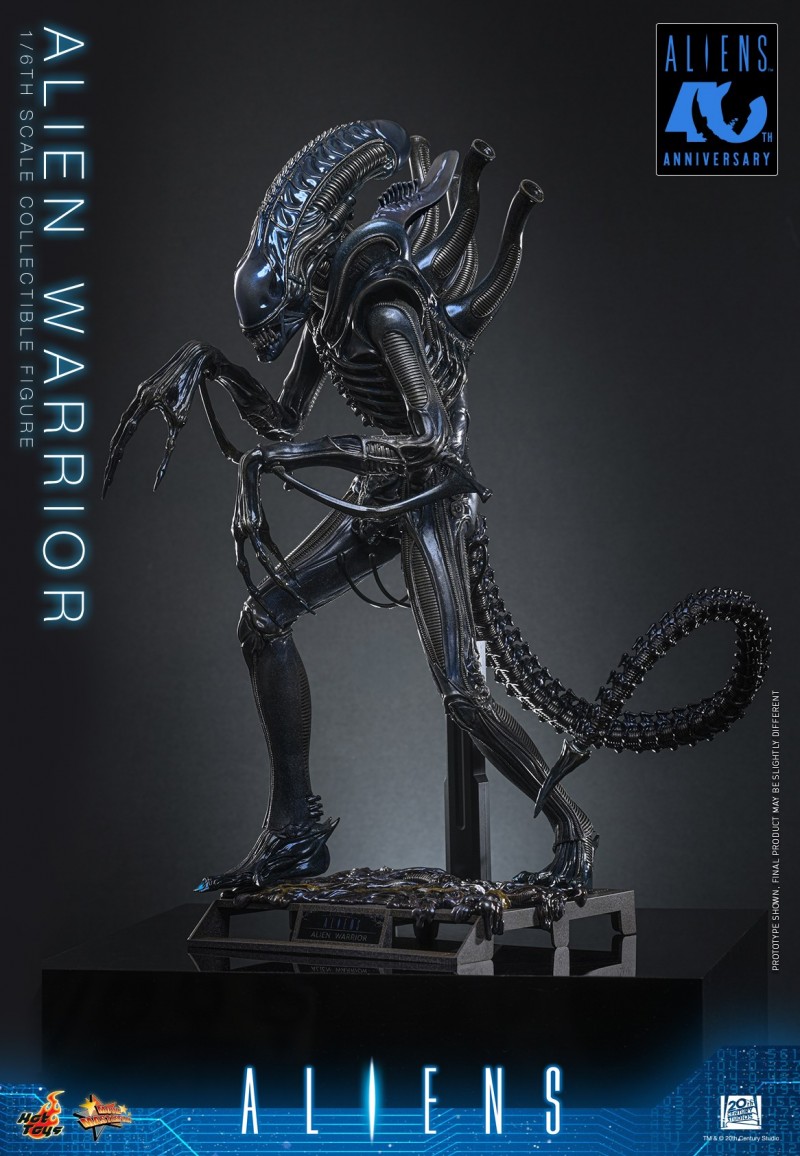 Hot Toys - Aliens - Alien Warrior_PR6.jpg