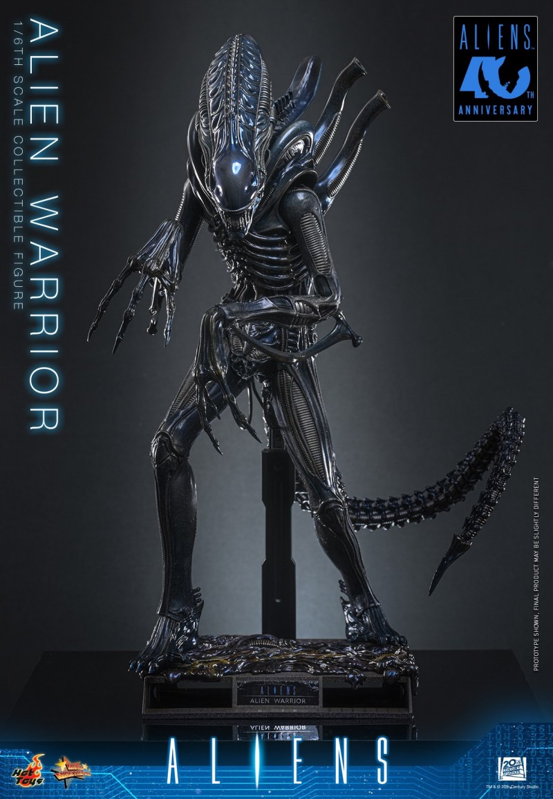 Hot Toys - Aliens - Alien Warrior_PR7.jpg