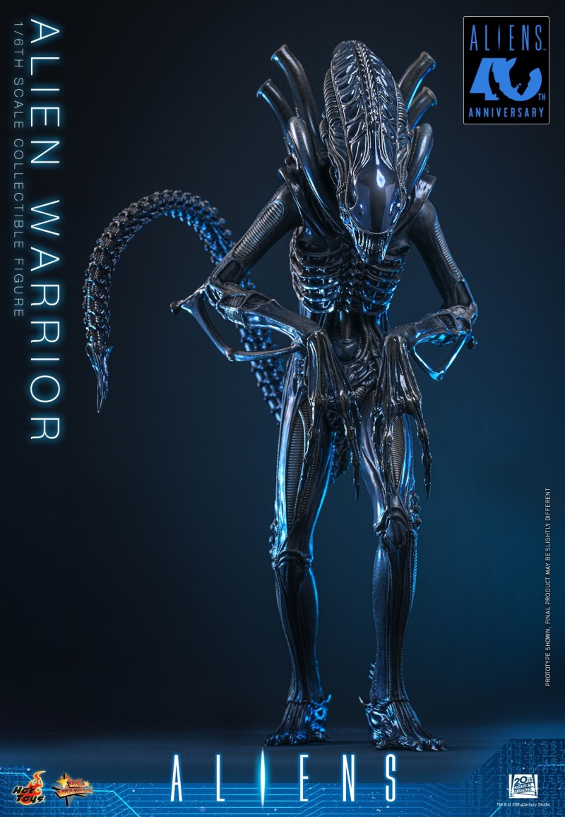 Hot Toys - Aliens - Alien Warrior_PR8.jpg