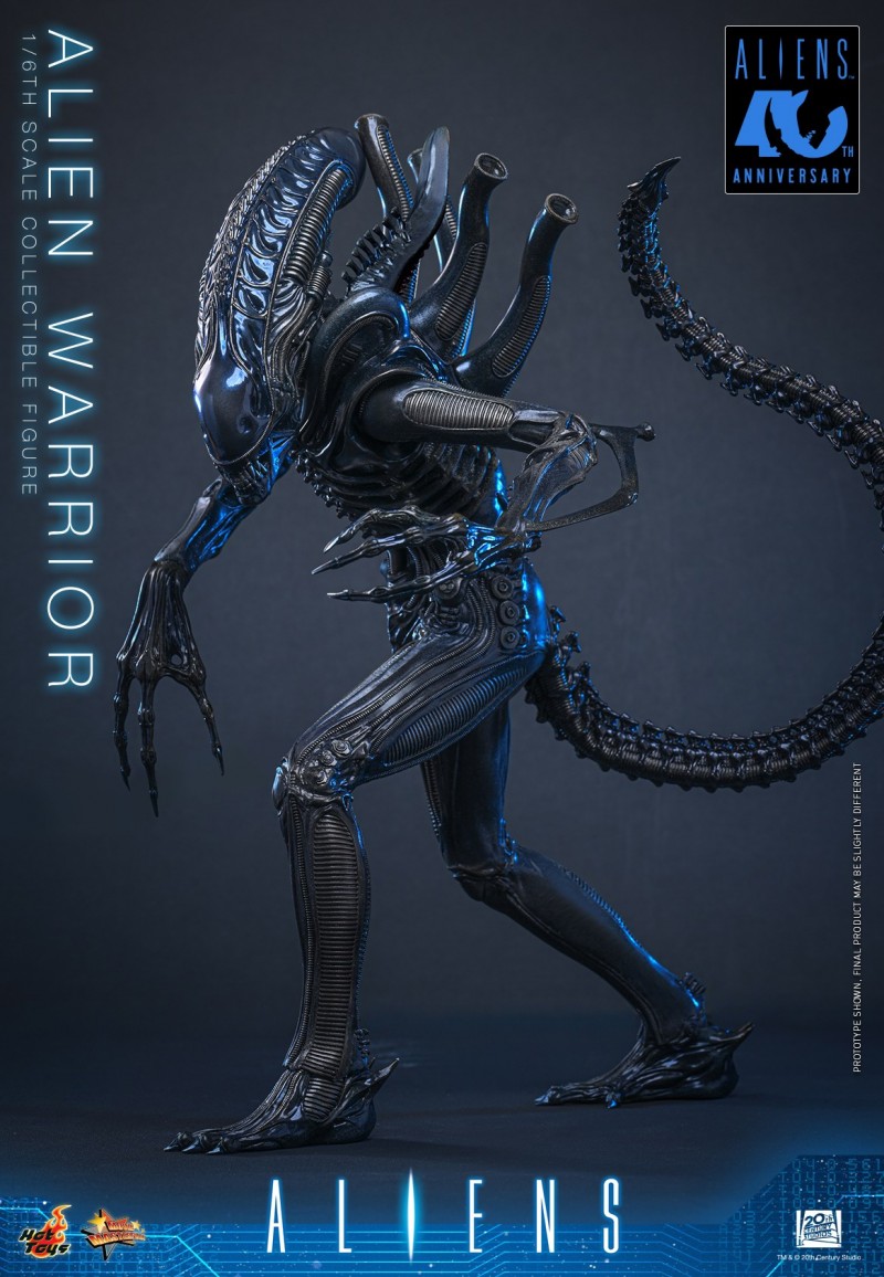 Hot Toys - Aliens - Alien Warrior_PR9.jpg