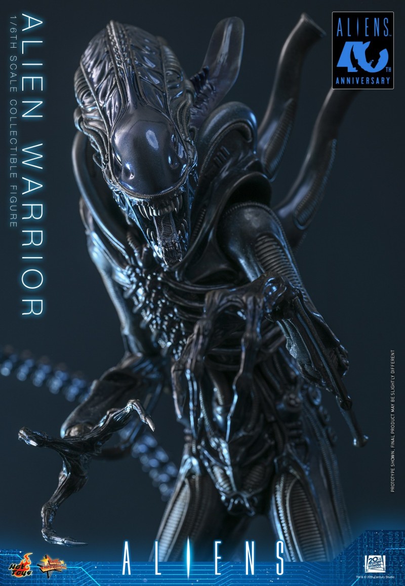Hot Toys - Aliens - Alien Warrior_PR10.jpg
