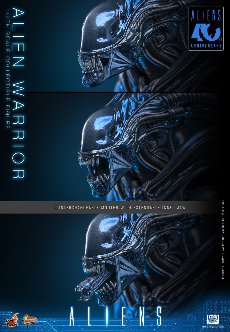 Hot Toys - Aliens - Alien Warrior_PR11.jpg