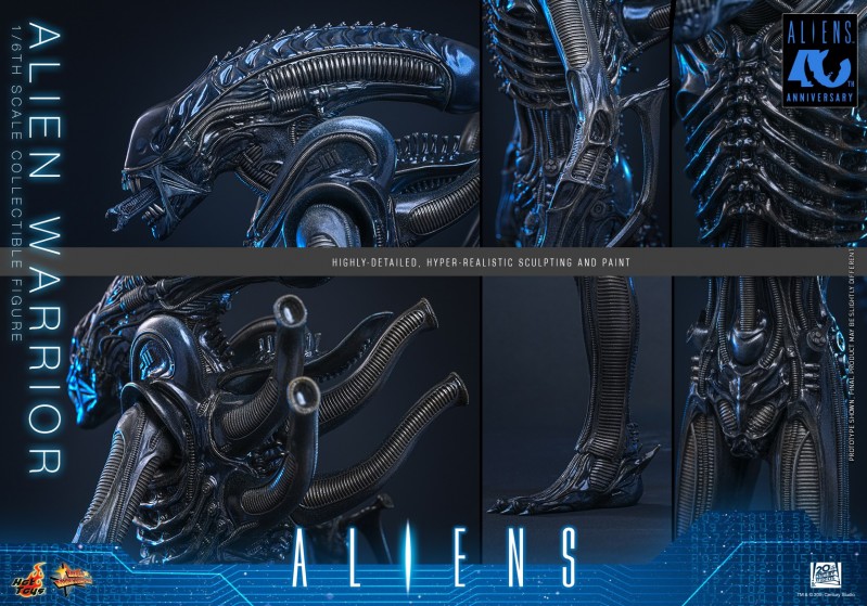 Hot Toys - Aliens - Alien Warrior_PR12.jpg