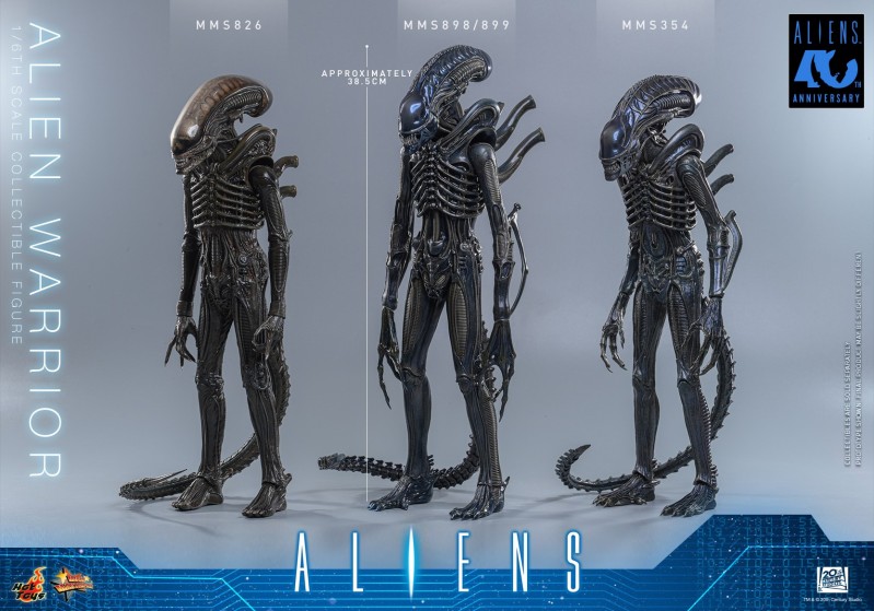 Hot Toys - Aliens - Alien Warrior_PR14.jpg