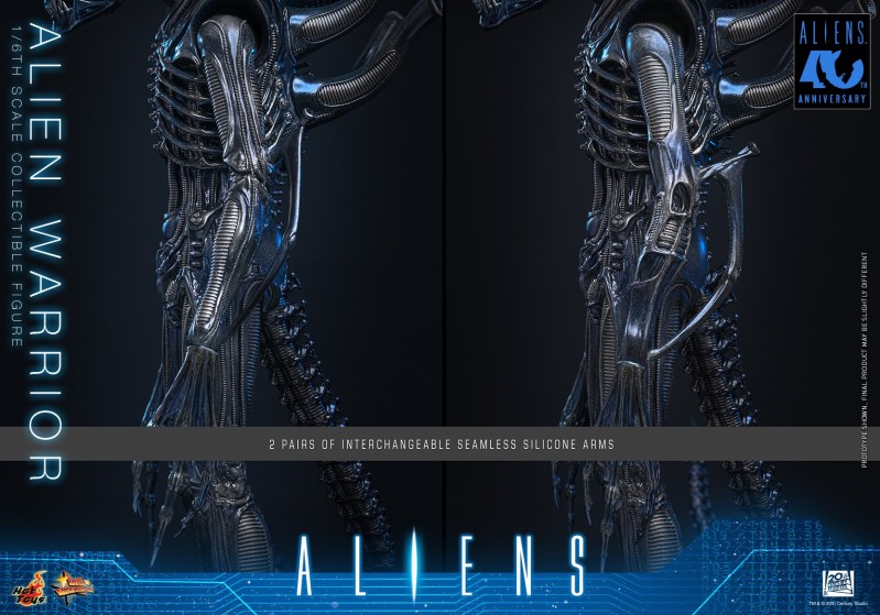Hot Toys - Aliens - Alien Warrior_PR13.jpg