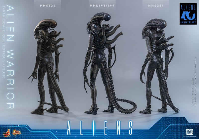 Hot Toys - Aliens - Alien Warrior_PR16.jpg