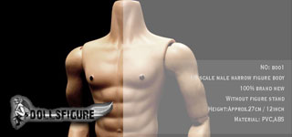 DOLLSFIGURE 1/6 п