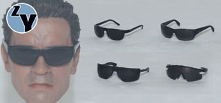 ZYTOYS 1/6ī (һĿ)
