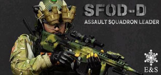 E&S SFOD-D Assault Squadron Leader/