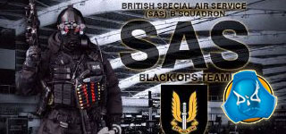 DIDع Ӣر SAS