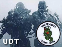 ǳ̸UDT䷢չ