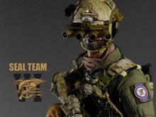 ͬDEVGRU SS084 vs DAM78011 ---- ----By С-