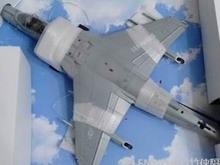 ֡С1/18ƷAV-8B II